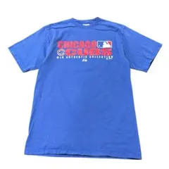 Item thumbnail for item fe044528-7255-42cf-9f7e-5dd5c07d37df