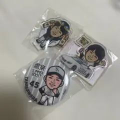 福岡ソフトバンクホークス 若鷹ガチャ 鷹祭2026 缶バッジ アクスタ