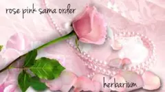 rose pink様❁︎オーダー　ハーバリウム2027 2.11。:°ஐ*。: