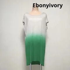 Ebonyivory エボニーアイボリー ワンピース　チュニック　訳アリ価格