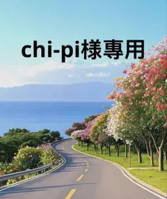 chi-pi様專用（140）