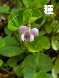 りんちん様 リクエスト 3点 まとめ商品