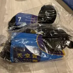 競馬　イクイノックス　1番くじ　A賞　ラストワン賞　新品のサムネイル