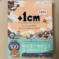 +1cm IDEA