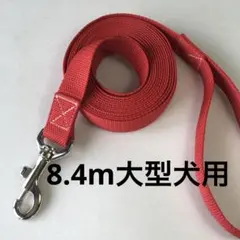 Item thumbnail for item 03f82e28-7cbb-4d56-8cce-7c36ccb10004