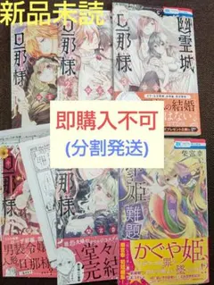 早い者勝ち】東方書籍23冊&夢想夏郷DVD1巻&最速最高シャッターガール