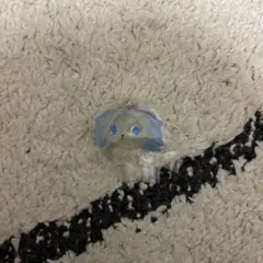 ジュエルペット めじるしアクセサリー サフィ