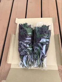 赤紫蘇　100g×2袋のサムネイル