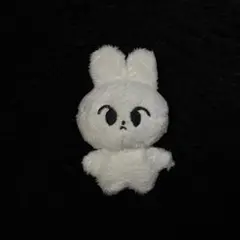 NCT127 NCT ドヨン 다님 ダニム 하또 ハト ぬいぐるみ