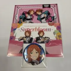 あんスタ　葵ひなた　葵ゆうた　セット