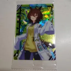 アグネスタキオン ウエハース 勝負服 5R