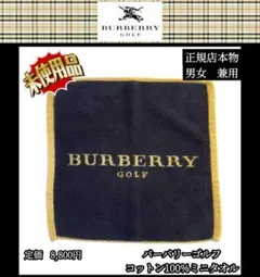 Item thumbnail for item a9972d66-199b-4220-b363-f1fd374d85ee