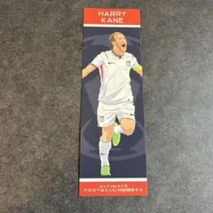 Harry Kane ブックマーカー　イングランド代表
