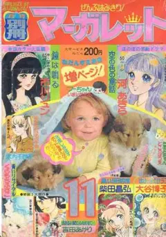 2026年最新】木内千鶴子の人気アイテム - メルカリ