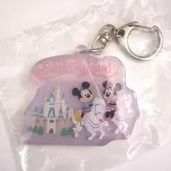 東京ディズニーリゾート キーチェーン テーマポート ファンタジーランド ミッキー