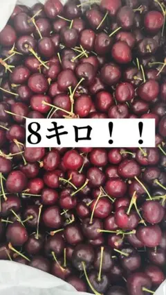 アメリカンチェリー 8キロ 11.5R - メルカリ