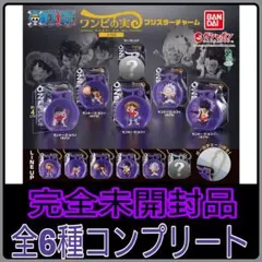 ONE PIECE ワンピの実 ミクロブリスターチャーム 完全未開封品