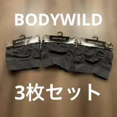 3D ボクサーパンツ　GUNZE ボディワイルド　3枚セット価格　前閉じ　M
