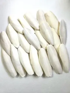 カトルボーン　20枚セット　11～14㎝のサムネイル