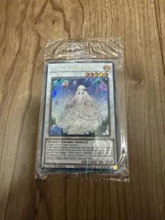 遊戯王【フランス版】ガーデン・ローズ・メイデン シク『未開封