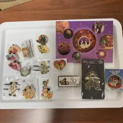 東京ディズニーリゾート ピンバッジ メタルチャーム　いろいろセット
