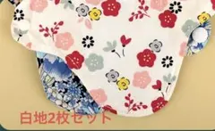 Item thumbnail for item db2545d1-ed35-4325-a0dc-33be86fb4627