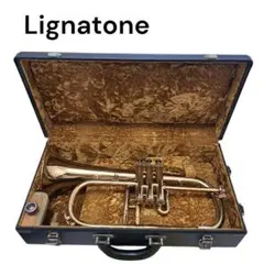 2026年最新】lignatoneの人気アイテム - メルカリ