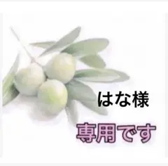 ⭐️ はな様専用です⭐️