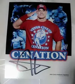 WWE ジョンシナ　John Cena 限定フィギュア　直筆サインプレート WWE ジョンシナ John Cena 限定フィギュア 直筆サインプレート 箱付