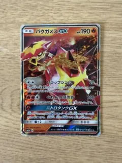 2025年最新】バクガメスGXの人気アイテム - メルカリ