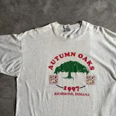 90s フルーツオブザルーム ヴィンテージ Tシャツ グレー シングルステッチ