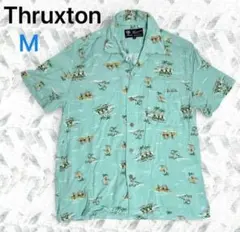 Item thumbnail for item 3ca02f7d-d80e-4731-93a8-c1a02c4b00d4
