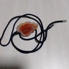 Item thumbnail for item 5687dd6e-8a06-4d30-a54c-45998bb60d9a