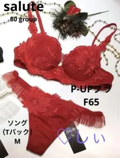 新品タグ付 サルート 80G P-UPブラ F65 ソング M RE 風花