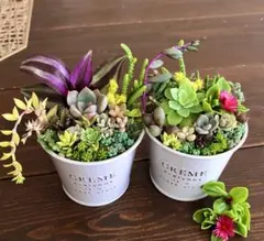 再販ガラスポットcフェイクグリーン寄せ植え風アレンジ▫️フェイク