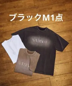 2026年最新】WILD blue tシャツの人気アイテム - メルカリ
