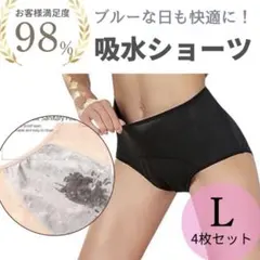吸水ショーツ　Lサイズ　ブラック　サニタリー　レディース　パンツ　4枚セット下着
