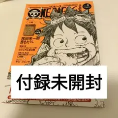 ナミ手配書未開封　ONE PIECE magazine Vol.6