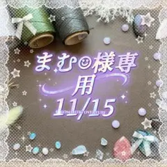 まむ☺︎様専用 11/15