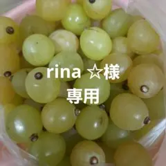 まrina☆様専用