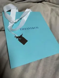Tiffany & Co. ブルーショッパー　シミあり　チャーム付きのサムネイル