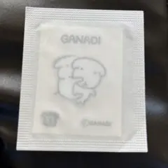 ガナディ シール ステッカー ポップアップ 購入特典 韓国限定 57番