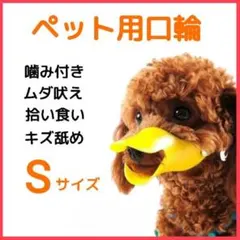 Item thumbnail for item 1109ba16-4aaf-4ac2-b1be-d323970ef54a