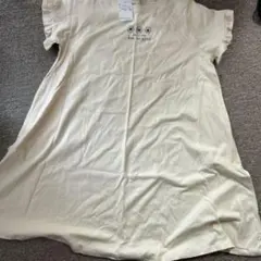 Item thumbnail for item ac21d631-25c4-4462-93ab-f9c7dab6fc53