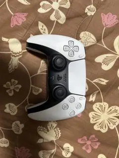 PS5 DualSense ワイヤレスコントローラー