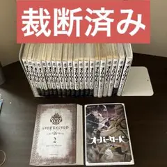 書籍版 オーバーロード 1～13巻まで まとめ売り 2025年最新】オーバーロード 全巻の人気アイテム - メルカリ