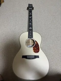 2026年最新】prs se p20の人気アイテム - メルカリ