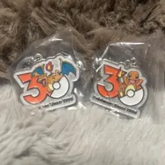 ポケモン30周年 メタルチャームマスコット ヒトカゲ＆リザードン