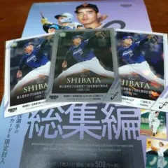 Item thumbnail for item 7e42ba84-fd80-4837-a638-416c7bf6840d