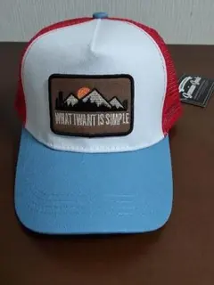 Item thumbnail for item 573fce25-015a-493c-976e-0a9a62389311